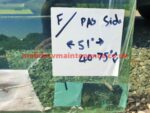 RV Windscreen F Pas Side 51 inches Wide X 40.75 inches Tall - Image 2
