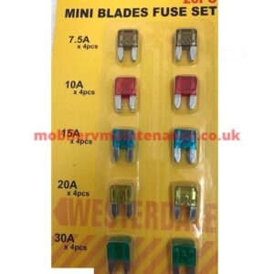 Mini Fuses Assorted, 20 Pack..